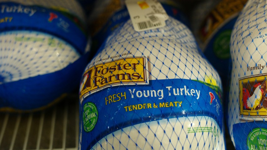 thanksgiving turkey 112519