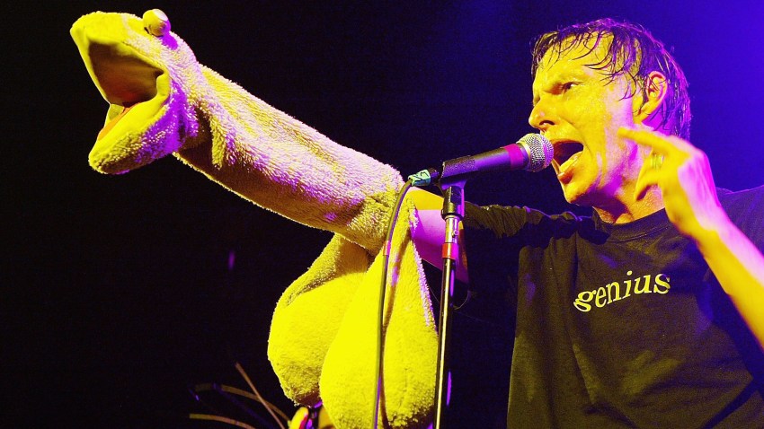 thedickies