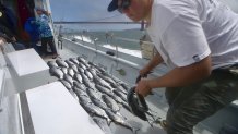 tommy with fish