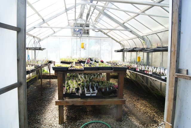 urban farming-25
