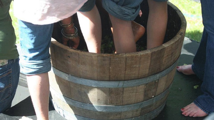 walnutcreekartwinemayjune