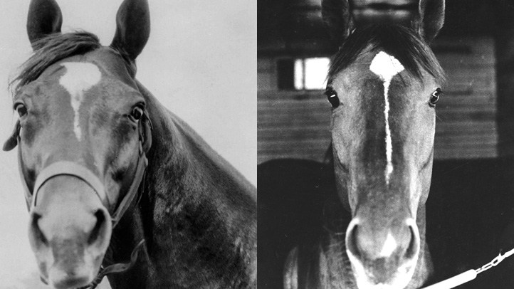 Horse Of The Century Man O War Vs Secretariat NBC Bay Area horse-of-the-century-man-o-war-vs-secretariat-nbc-bay-area