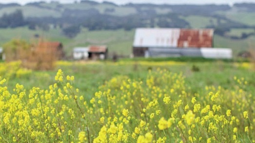 weekendalongthefarmtrailssonoma1