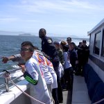 whale watching