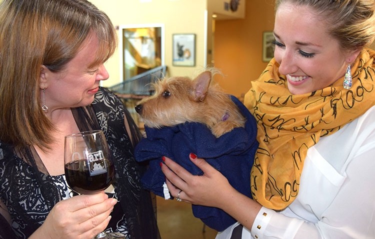 wine-and-whiskers_53754