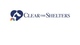 Clear the Shelters