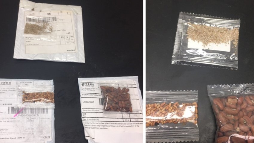 The LA County Agricultural Commissioner said it was very worrisome that seeds were arriving from China unsolicited July 2020.