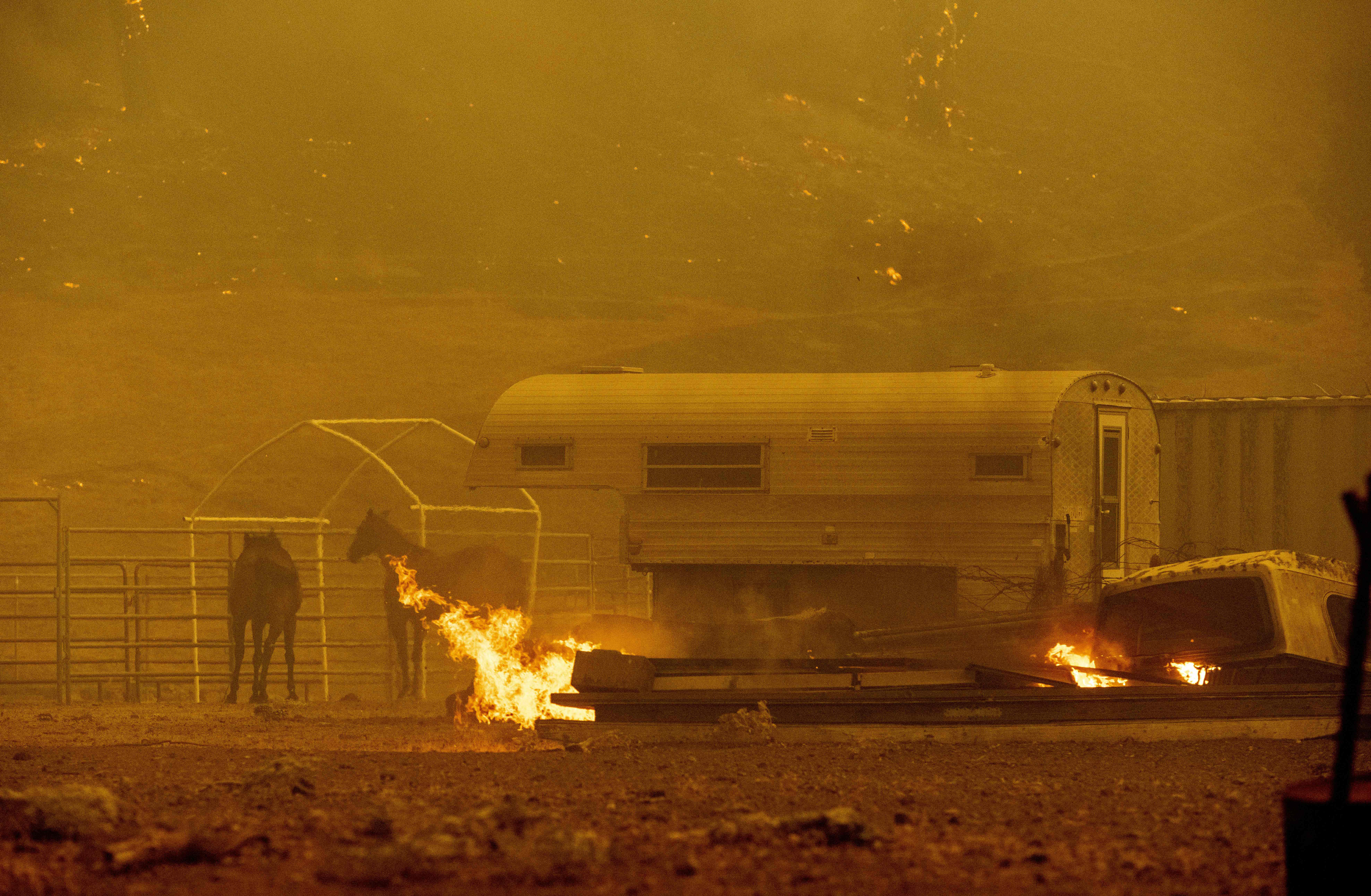 Horses are seen left in a stall as flames from the Hennessey approach a property in the Spanish Flat area of Napa, California on August 18, 2020. – As of the late hours of August 18, the Hennessey fire has merged with at least 7 fires and is now called the LNU Lightning Complex fires. Dozens of fires are burning out of control throughout Northern California as fire resources are spread thin. (Photo by JOSH EDELSON / AFP) (Photo by JOSH EDELSON/AFP via Getty Images)