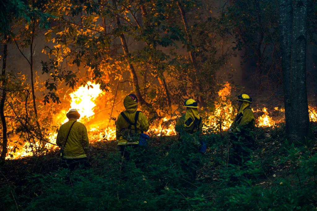 Cal Fire Suspends Backyard Burns for Santa Cruz County NBC Bay Area