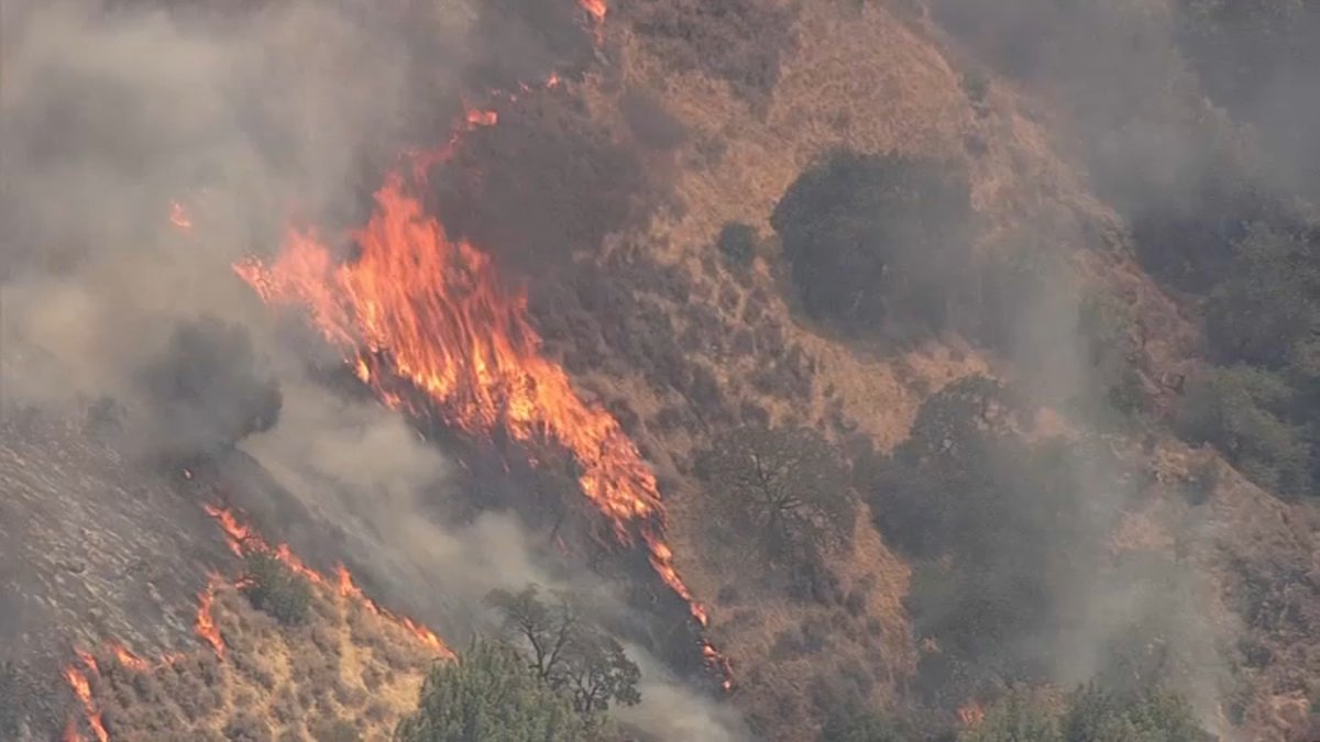 Crews Battle 858-Acre Marsh Fire in Santa Clara County – NBC Bay Area