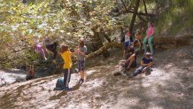 kids at summer camp hang out among the trees