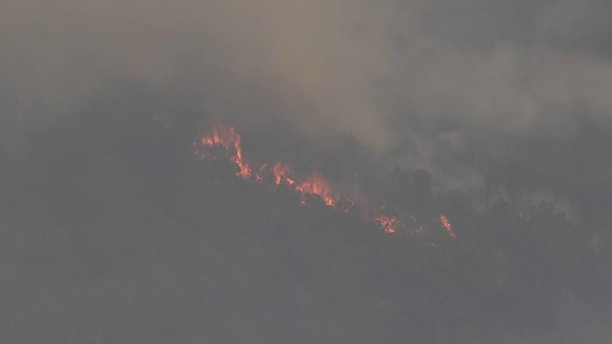 Deer Zone Fire Prompts Evacuations in Contra Costa County NBC Bay Area