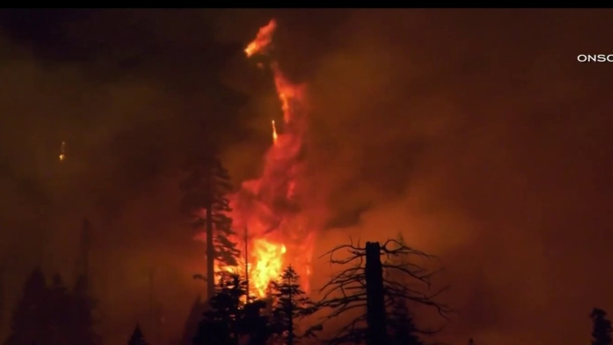 Bay Area Woman’s Camping Trip Turns Into a Race to Outrun the Creek