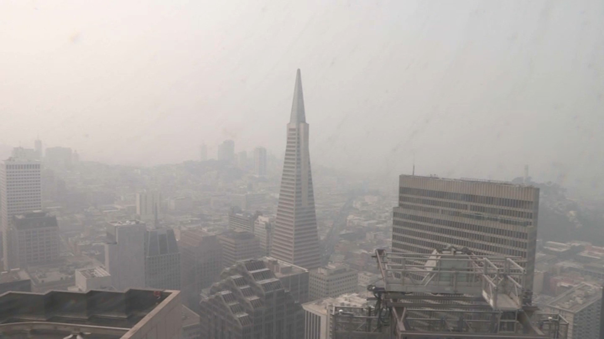 What You Should and Shouldn’t Do When the Air Quality Is Unhealthy