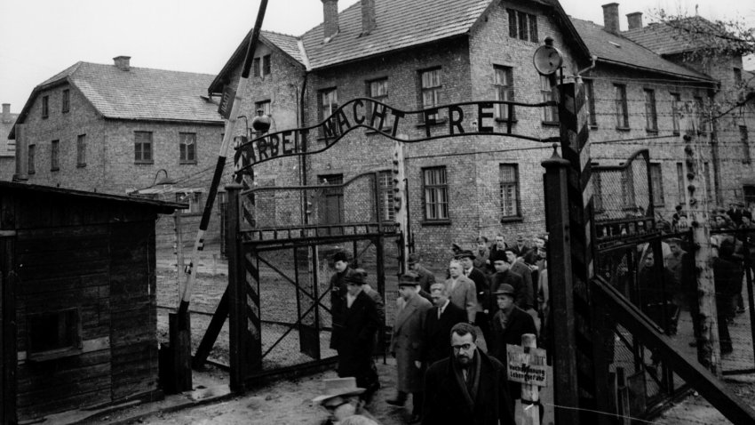 Why a Lack of Holocaust Knowledge Among Millennials and Gen Z Puts Us at Risk of Repeating History