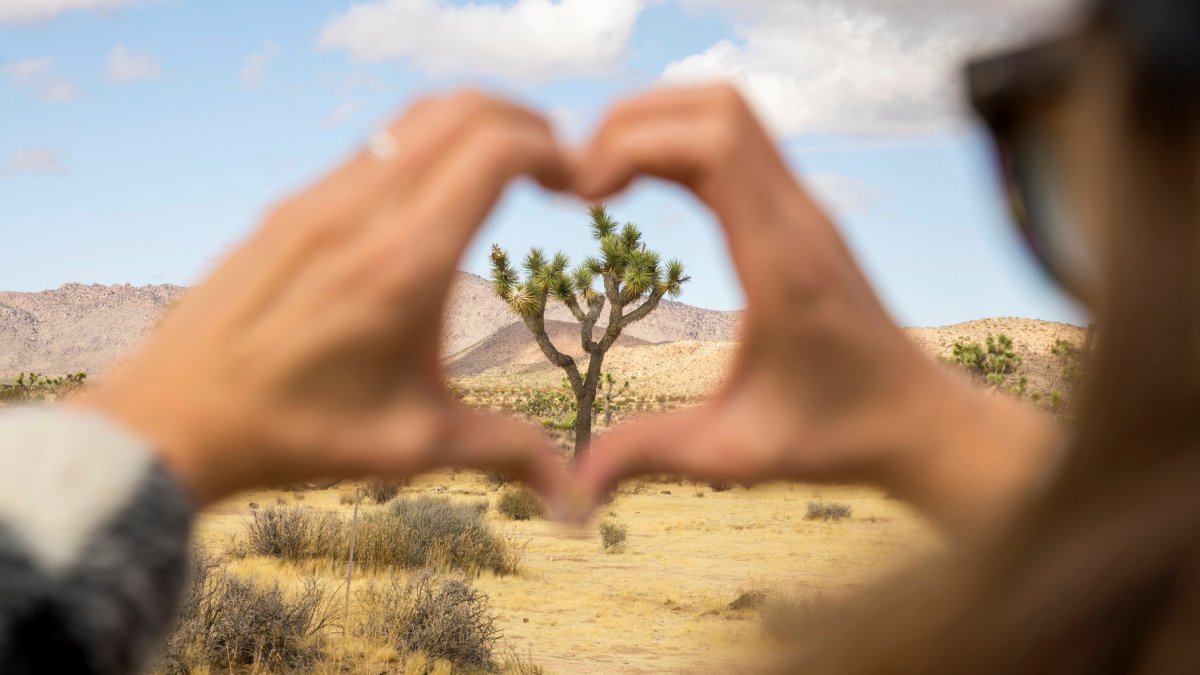 Visit a national park for free on National Public Lands Day - Vimarsana News