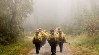 Marin County firefighters hike into Sky Trail along Limantour Road to fight the Woodward Fire.