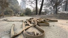 A tangle of firehoses outside the Working family's home in St. Helena shows the epic fight firefighters waged to save the home.