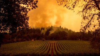 Smoke rises over a vineyard as the Glass Fire burns, Monday, Sept. 28, 2020, in Calistoga, Calif.