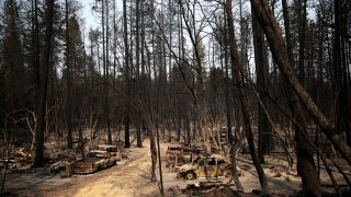Cars destroyed by the Bear Fire