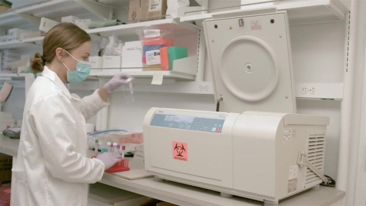 Election Guide Here’s What You Need to Know About Proposition 14 NBC