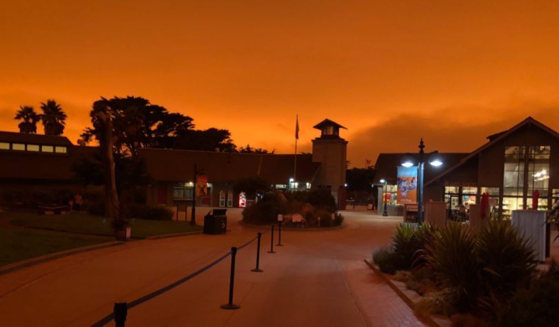 Animals Just As Confused By The Bay Area S Orange Skies Nbc Bay Area
