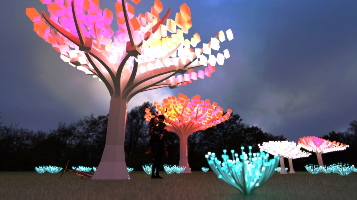 Light Installation to Close Out Golden Gate Park’s 150th Anniversary