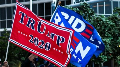 Decisión 2020: Qué esperar de estos comicios históricos