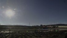 A Presidio crew plants native plants around the newly-restored salt water marsh.