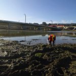 A Presidio crew plants native plants around the newly-restored salt water marsh.