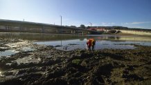 A Presidio crew plants native plants around the newly-restored salt water marsh.