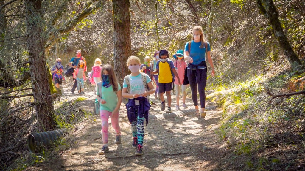 kids on a group walk through the woods