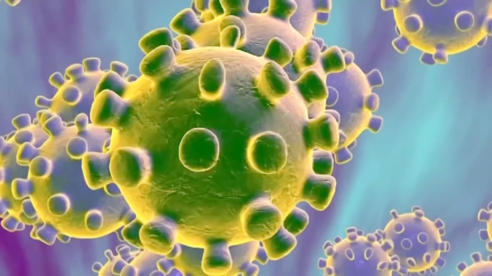 illustration of a virus particle with spike proteins sticking out of it