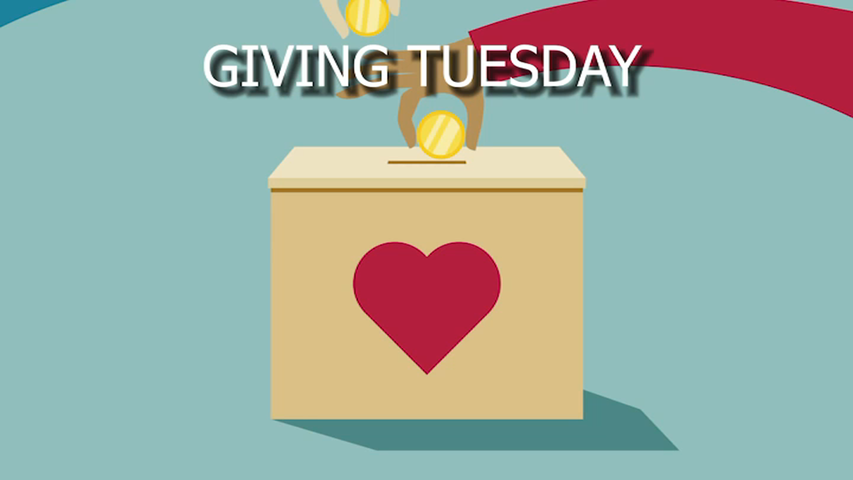 Giving Tuesday Bay Area organizations, charity verification, what to