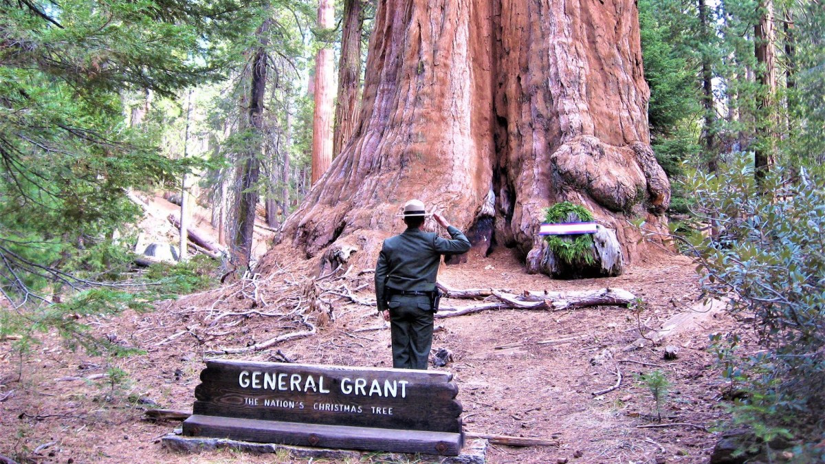 A Moving Tradition Continued at The Nation’s Christmas Tree NBC Bay Area