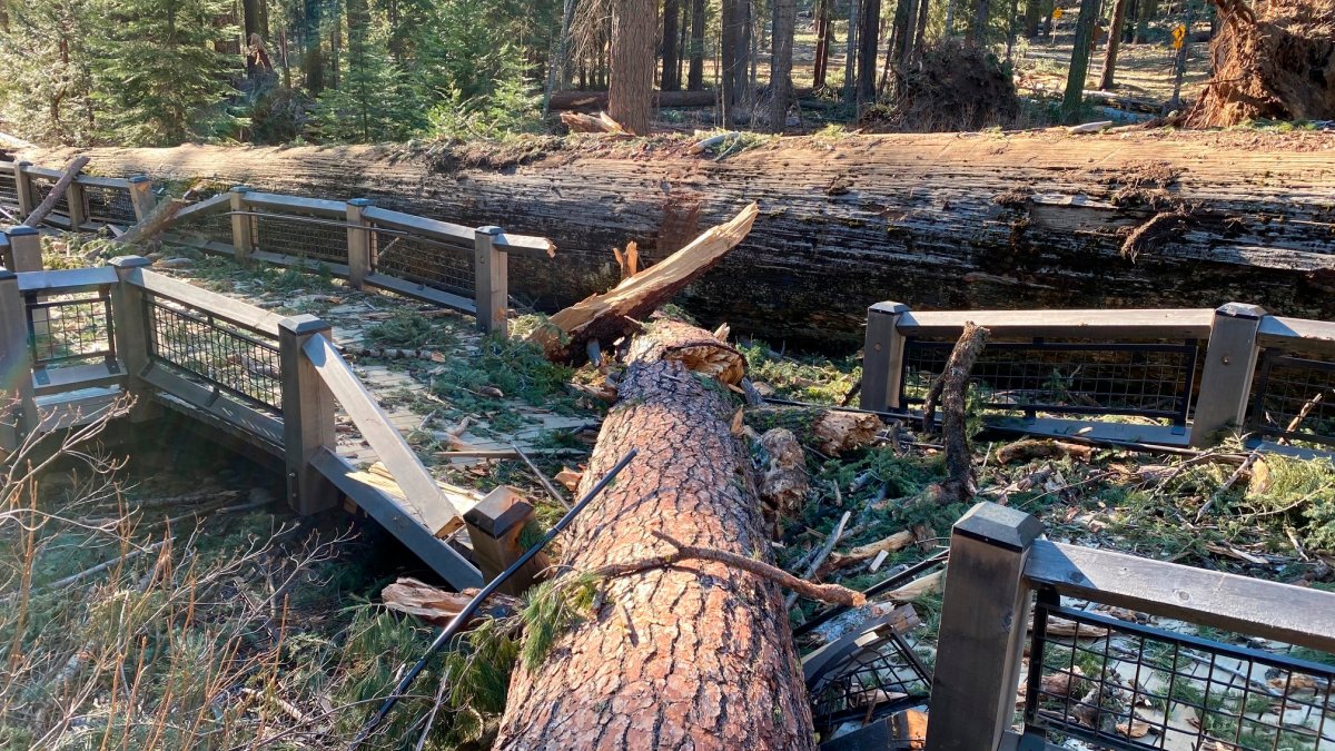 Yosemite National Park to Remain Closed After Wind Damage NBC Bay Area