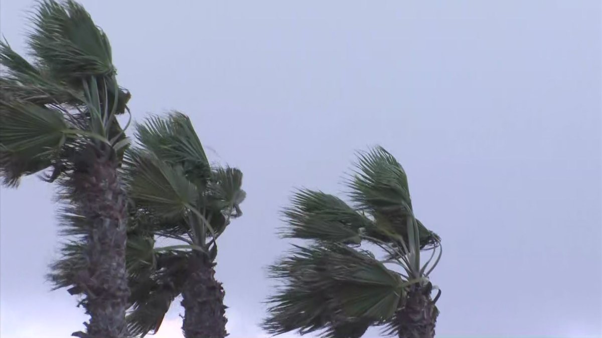 National Weather Service Issues Wind Advisory for Bay Area, Central ...