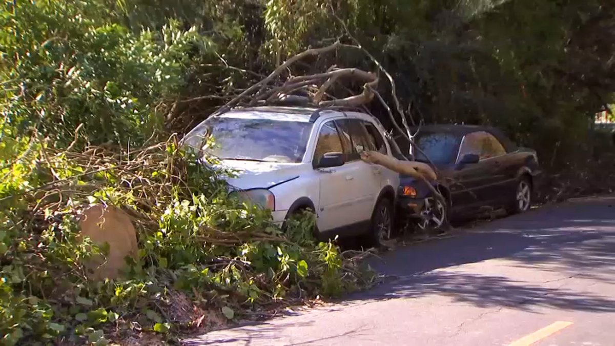 Strong Winds Down Trees, Spark Fires, Cause Havoc Across Bay Area – NBC ...