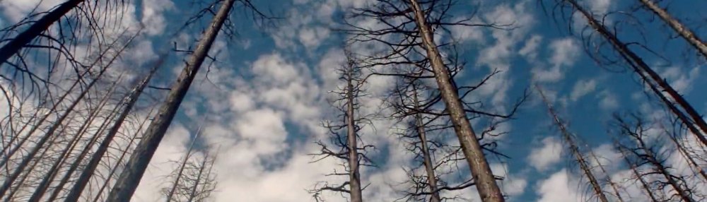 What to know about hydroclimate whiplash – NBC Bay Area