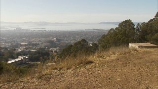 Berkeley Hills