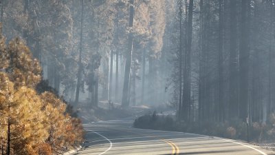 Point Reyes Climate Hotspot: Climate Change Lengthens Wildfire Season