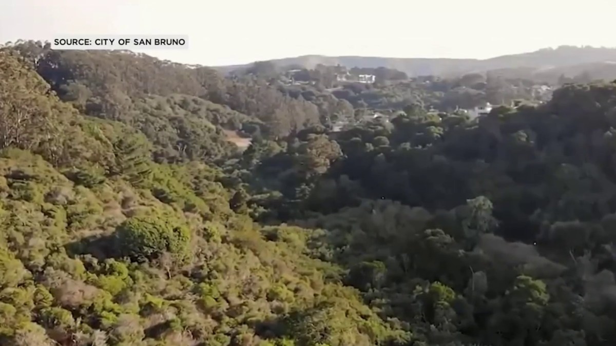 Lowering California Wildfire Risk Expected to Cost Billions - Vimarsana News