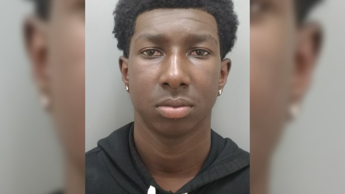Police Search for Missing Teen Last Seen on Richmond-San Rafael Bridge - Vimarsana News