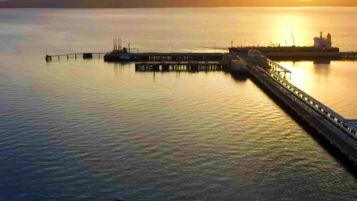 Crews Continue Cleanup After Oil Spill in SF Bay - Vimarsana News