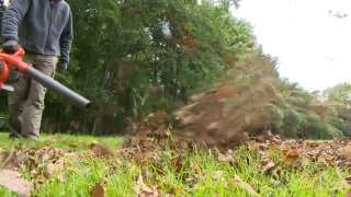 File image of a leaf blower.