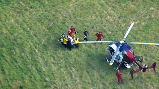 A tree worker is transported to a helicopter after being hit by a falling tree.