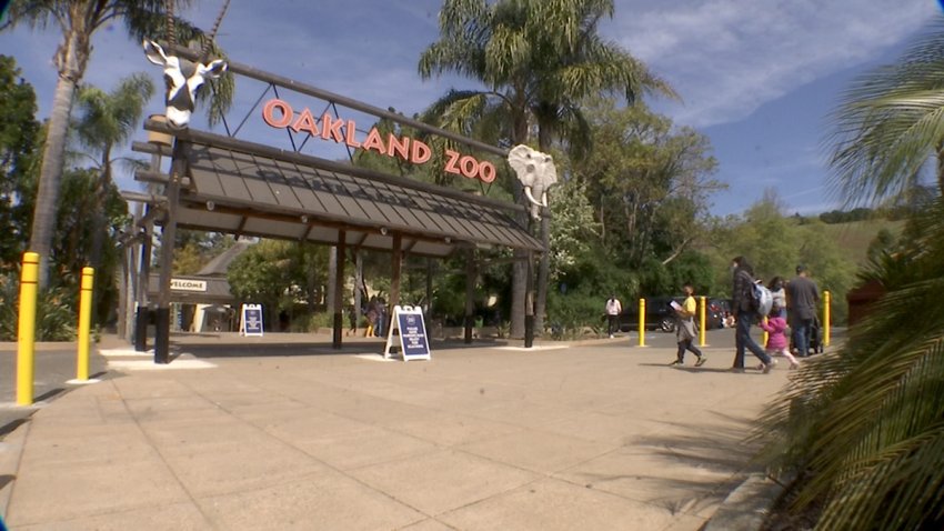 Best Zoos in the US to Visit All Sorts of Animals