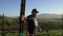 Point Reyes vintner Steve Doughty stands in his vineyard in Point Reyes.