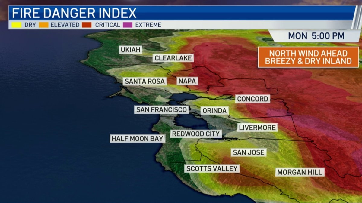 Bay area tsunami warning