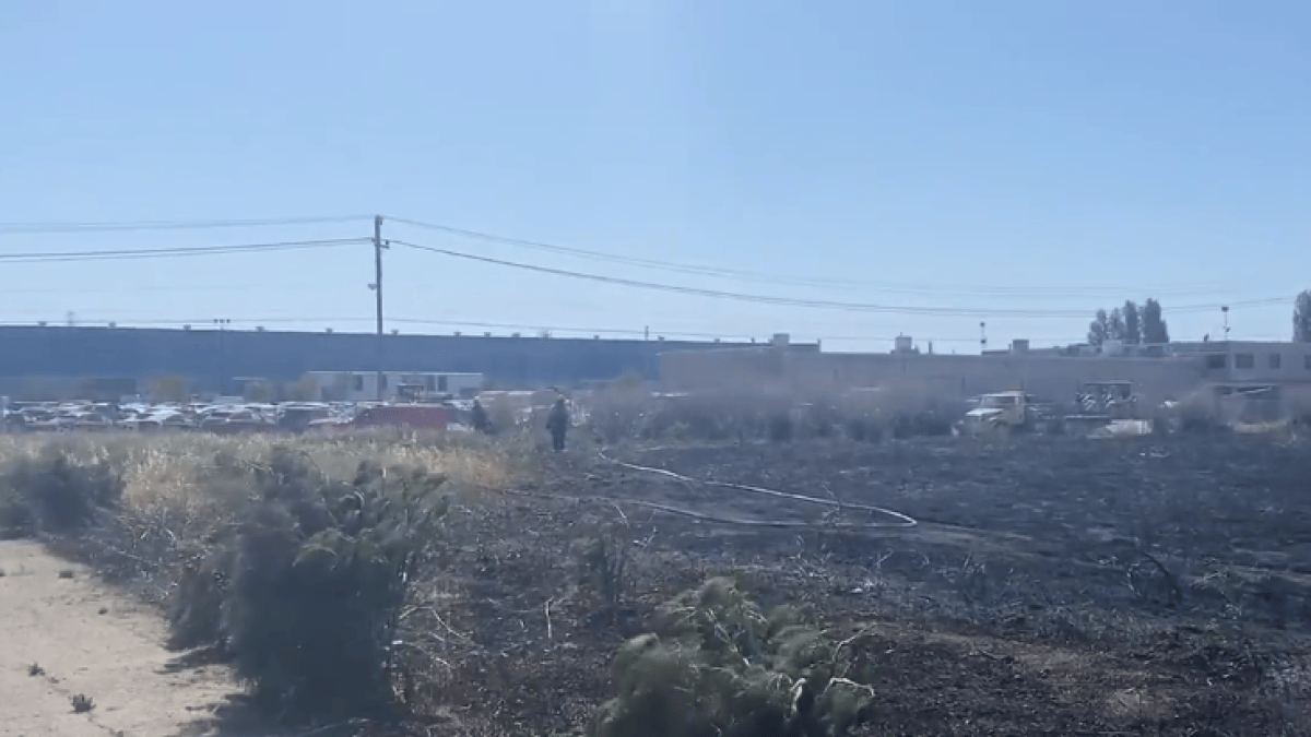 Firefighters Contain Vegetation Fire to 3 Acres in Fremont – NBC Bay Area